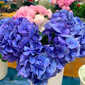 Meet your Posher, Flora